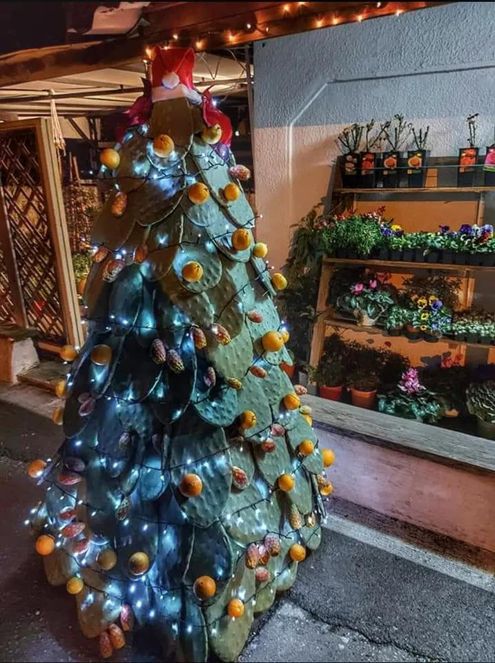Een wel heel originele kerstboom