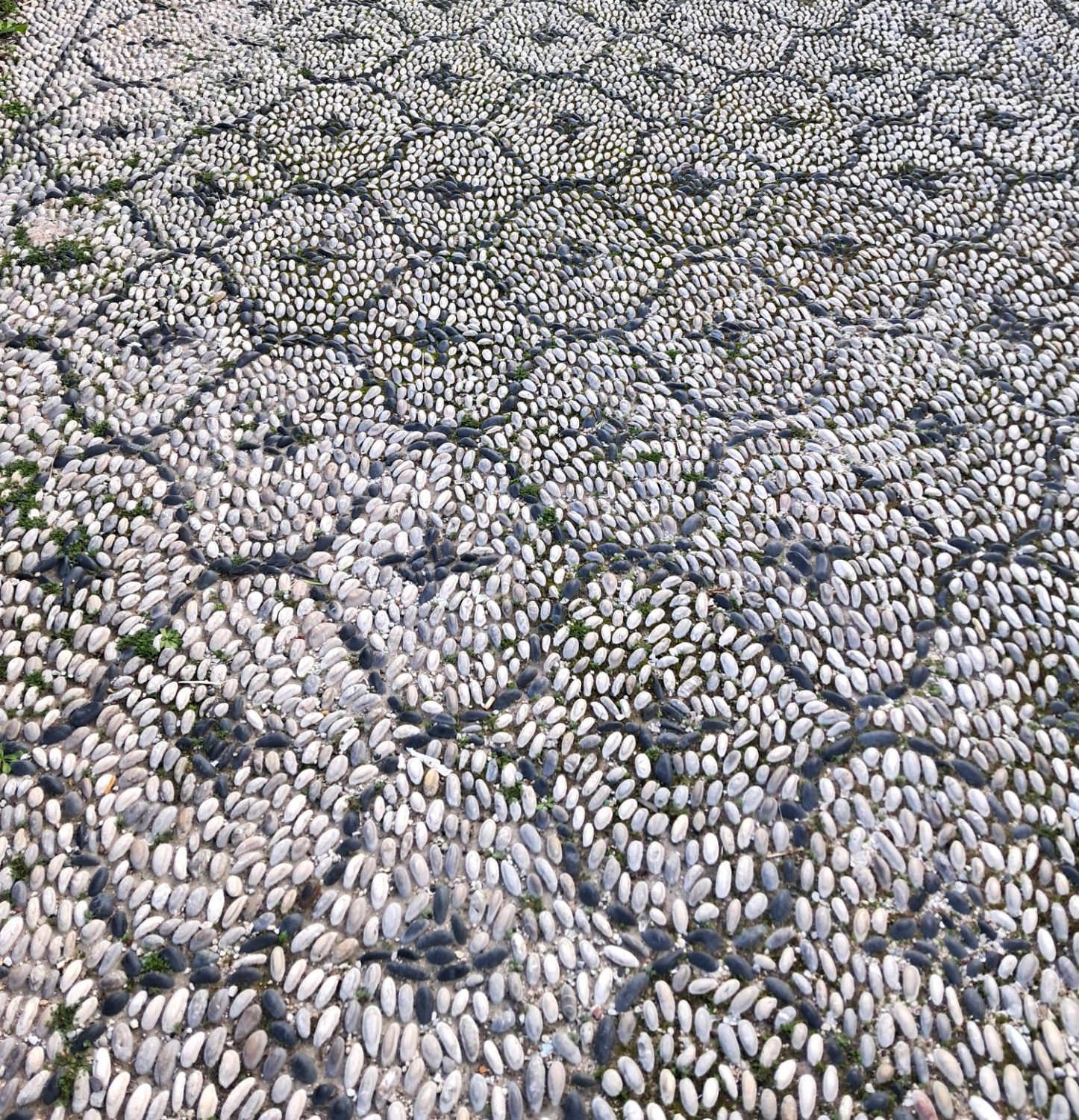 Rhodos een Grieks eiland