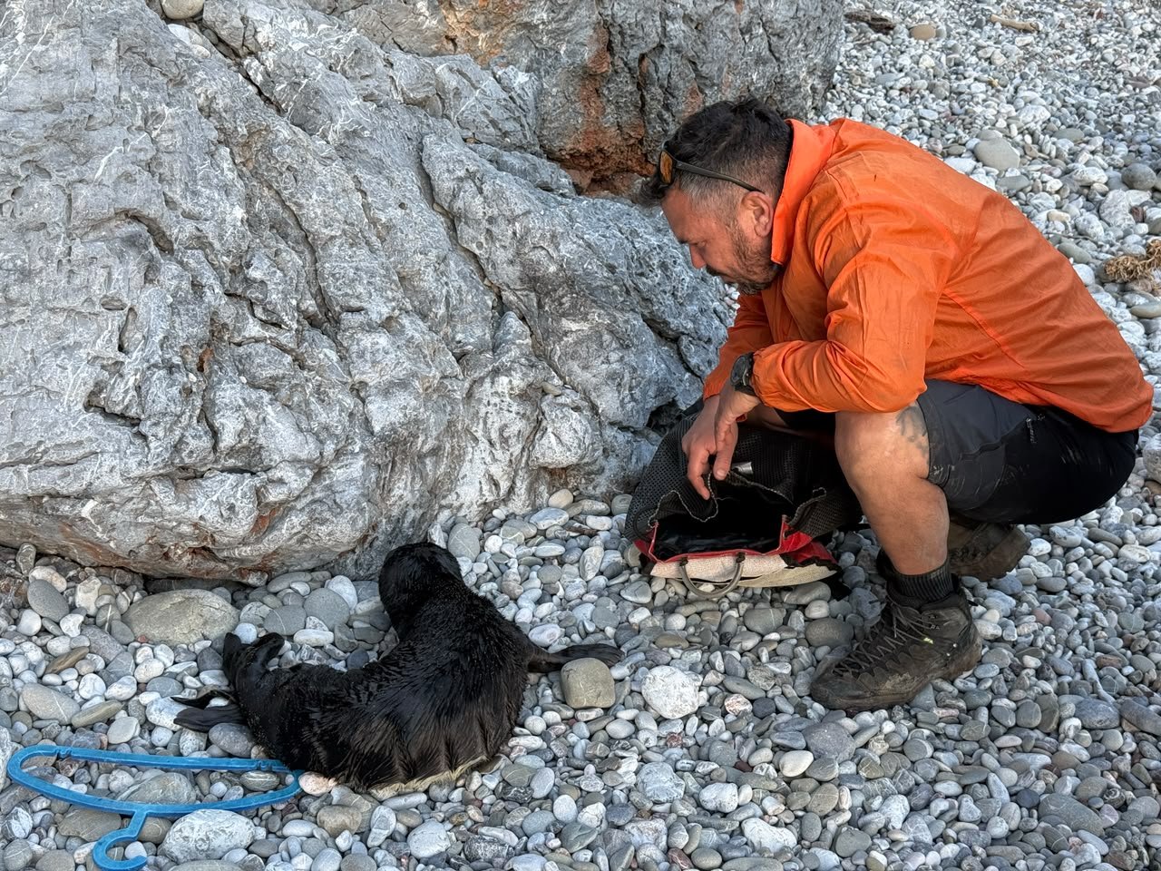 Animal Aid Kythira